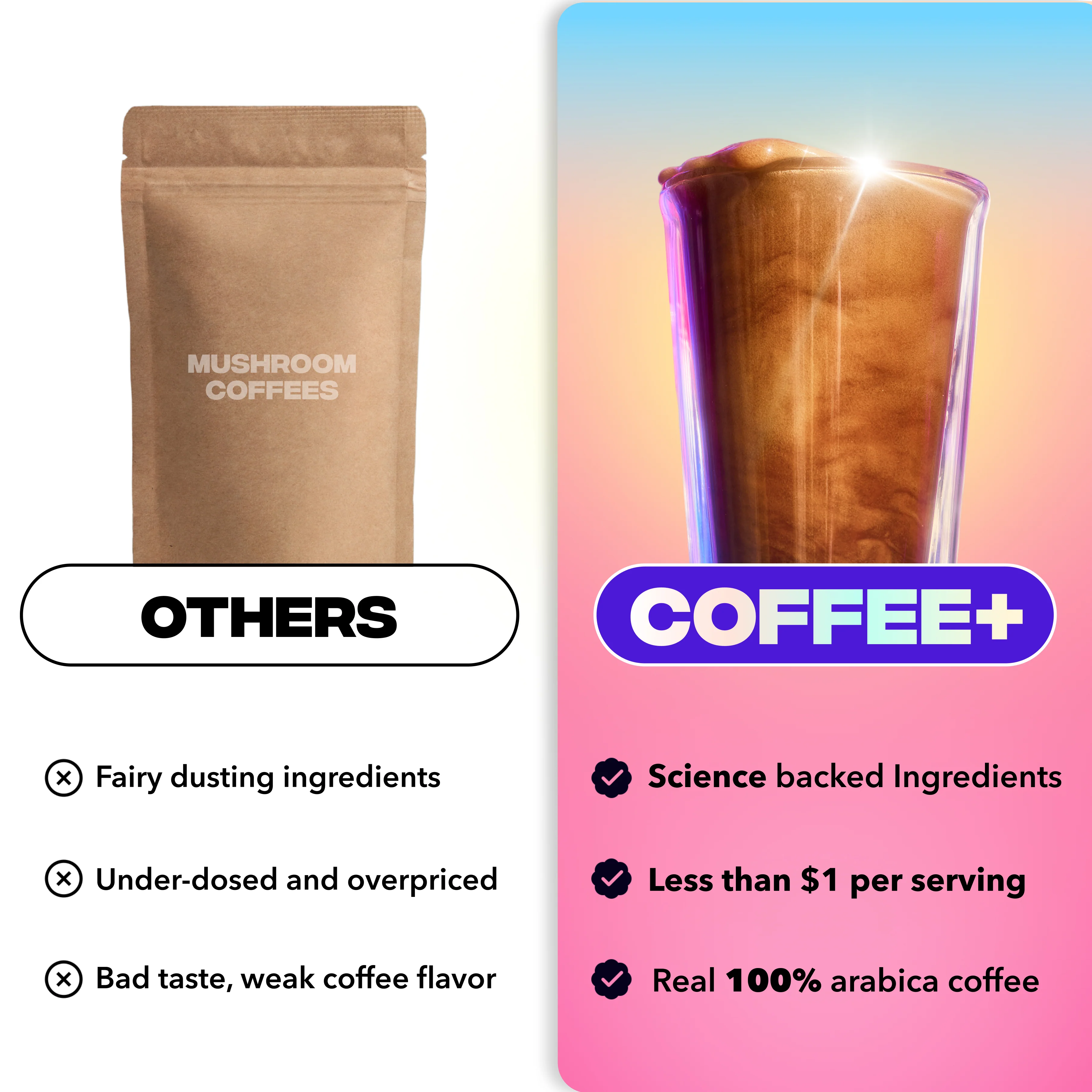 Mild + Medium Roast Coffee Bundle - Image 6