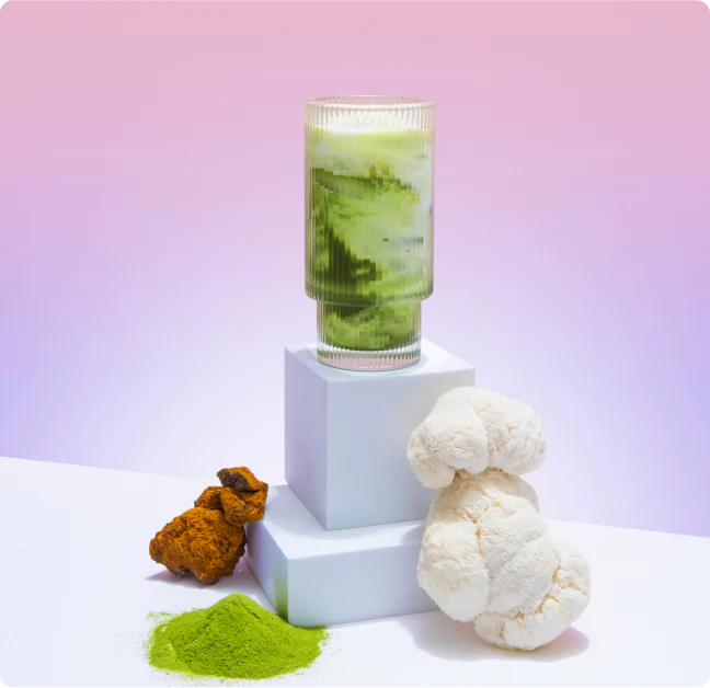 60 Servings of Mushroom Matcha+ FREE Starter Kit - Image 3