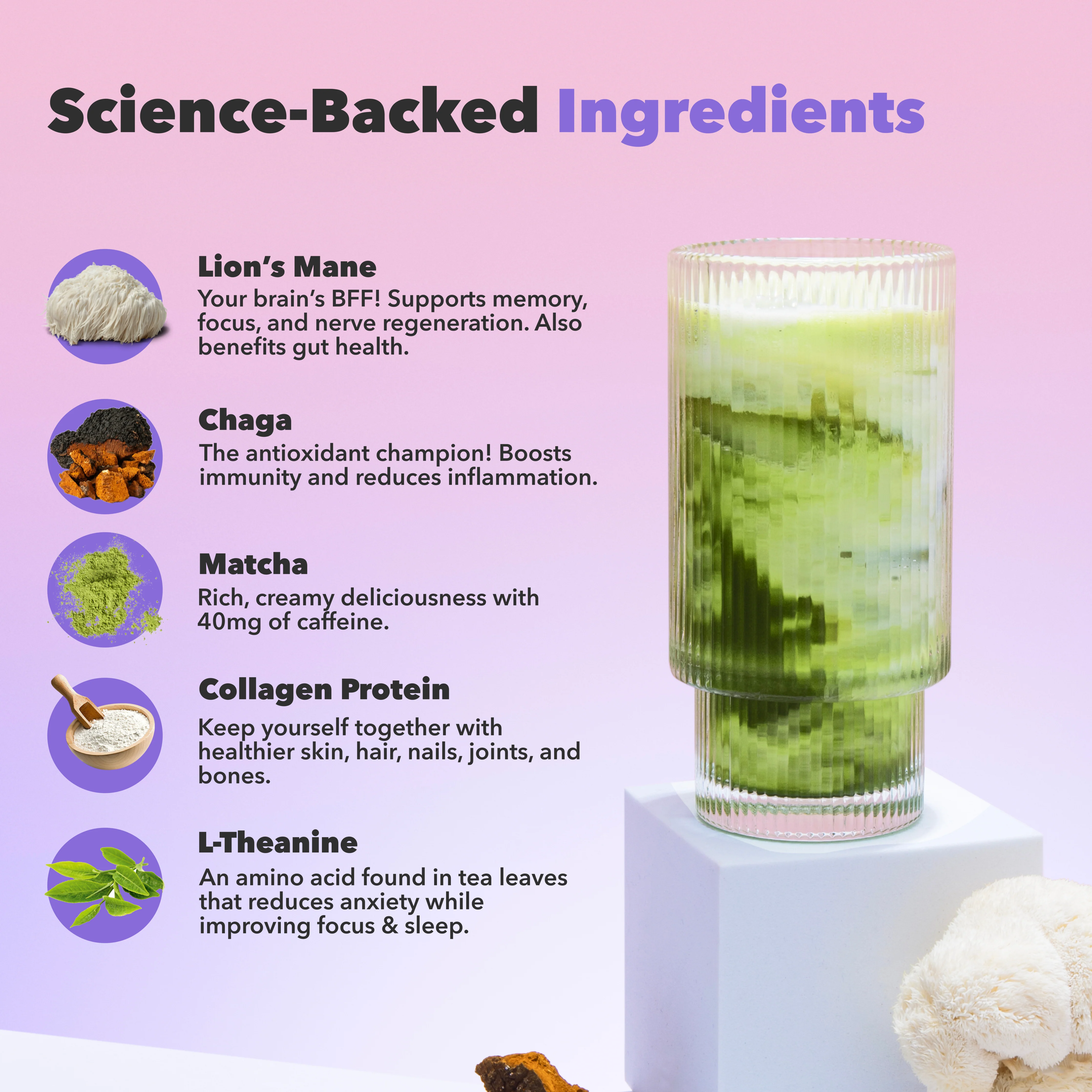 30 Servings of Mushroom Matcha + FREE Starter Kit - Image 3